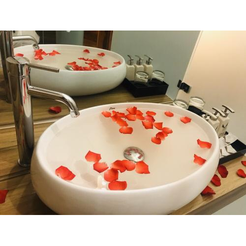 Giới thiệu phòng view sân vườn