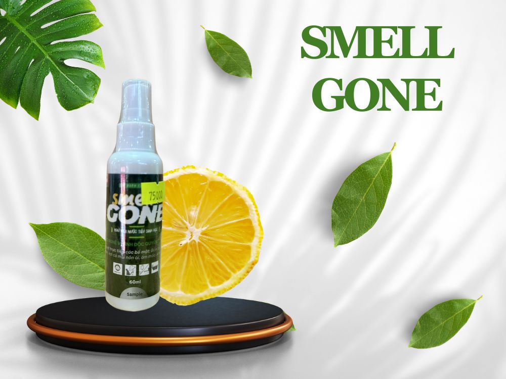 4. Hướng dẫn sử dụng