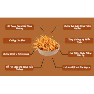 Đông Trùng Hạ Thảo Sấy Khô (Tiêu chuẩn 10 gram)