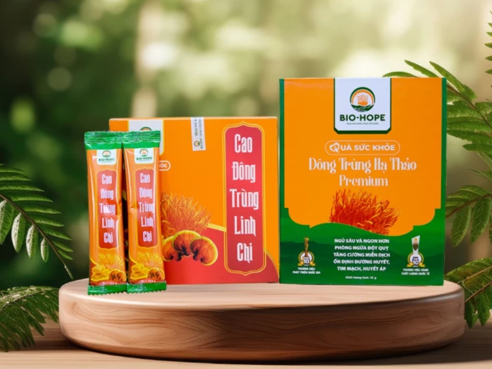 Giới thiệu liệu trình