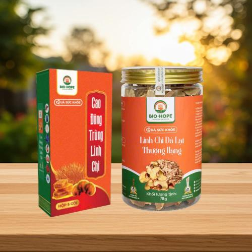 Nấm Linh Chi Có Phù Hợp Với Trẻ Em Không? Những Điều Bạn Nên Biết