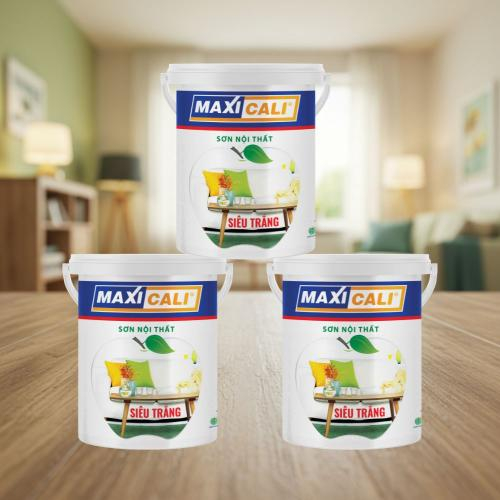 Lưu Ý Khi Sử Dụng Sơn Phủ Nội Thất Siêu Trắng Maxi Cali