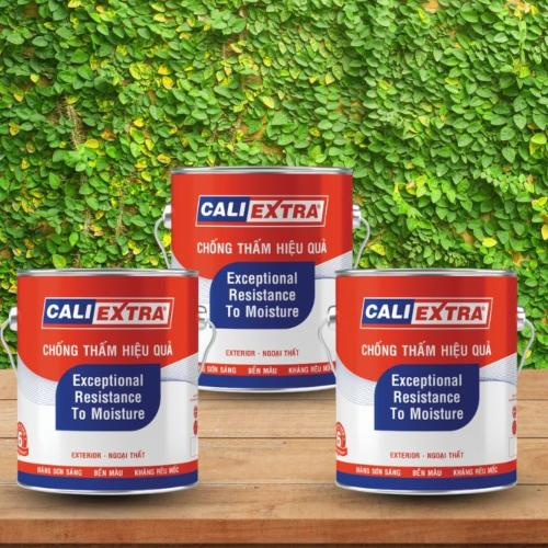 Vì Sao Nên Dùng Sơn Ngoại Thất Cali Extra Cho Nhà Mới Xây?