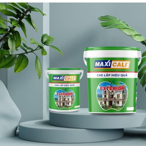 Hướng Dẫn Thi Công Sơn MAXICALI Để Đạt Hiệu Quả Cao Nhất