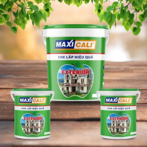 Vì Sao Sơn MAXICALI Là Lựa Chọn Hoàn Hảo Cho Ngoại Thất?