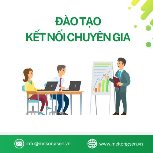 Đào Tạo - Kết Nối Chuyên Gia