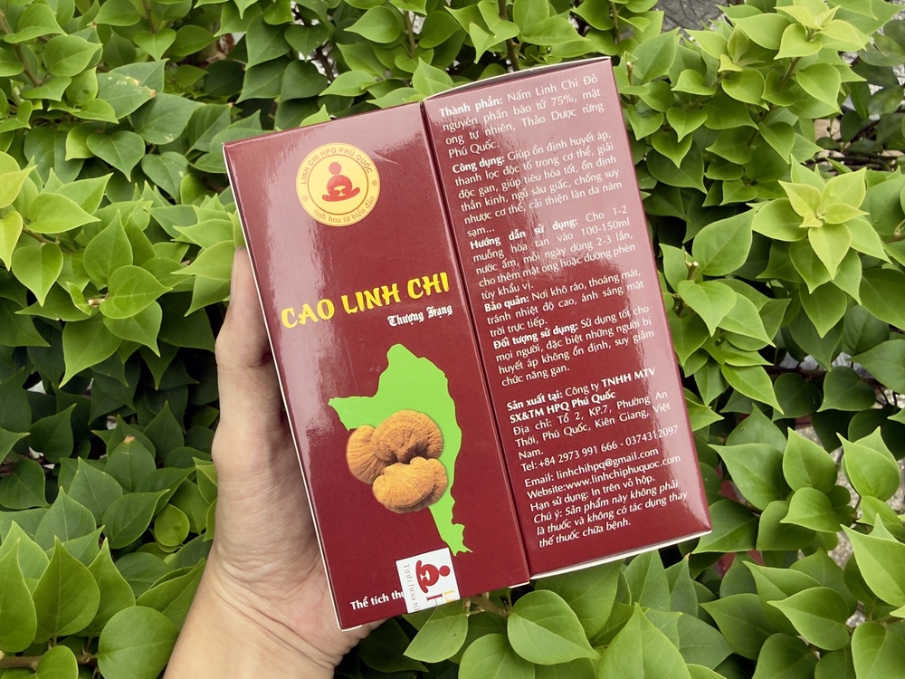 Trong Cao Linh Chi Thượng Hạng có gì ?