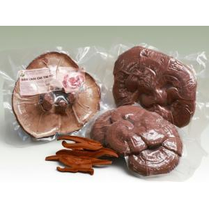 Nấm Linh Chi Tai To Hiền Nương Farm 120gr - Đặc Sản An Giang