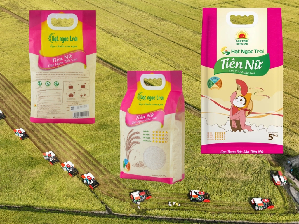 Ngon – Sạch – An Toàn: Giá Trị Từ Gạo Hạt Ngọc Trời Tiên Nữ