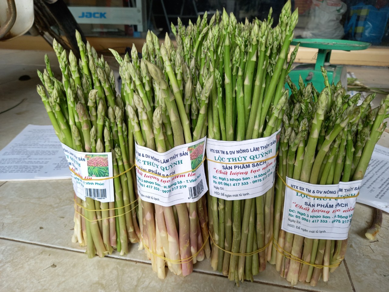 Giới thiệu về sản phẩm